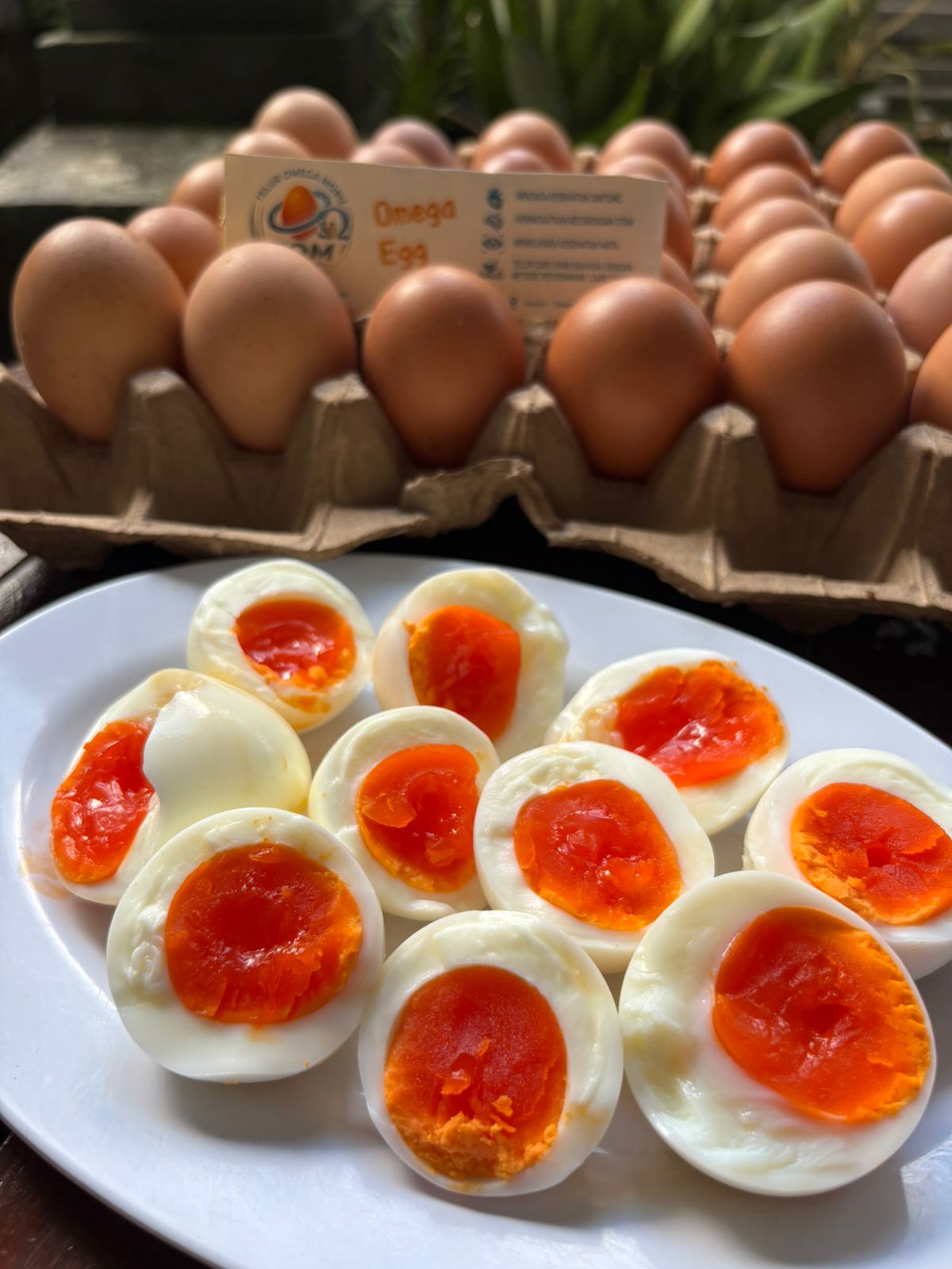 Kuning telur omega pekat